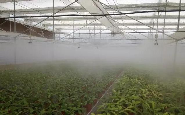 眉山颗粒破碎机的简单介绍