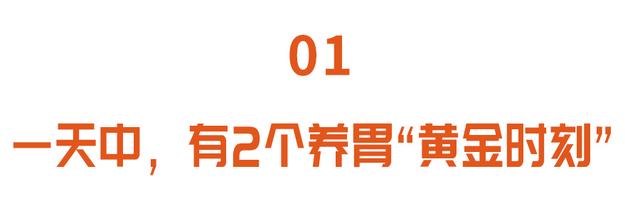 秋季养胃正当时，抓住2个养胃黄金时间、常吃5种食物，收获健康胃