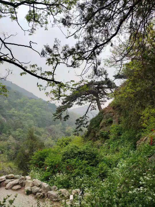 东岳泰山的特点