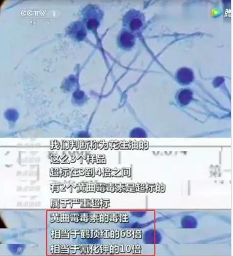 淘宝网过滤机
