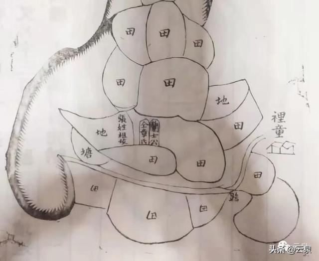 一条鞭法鱼鳞图册