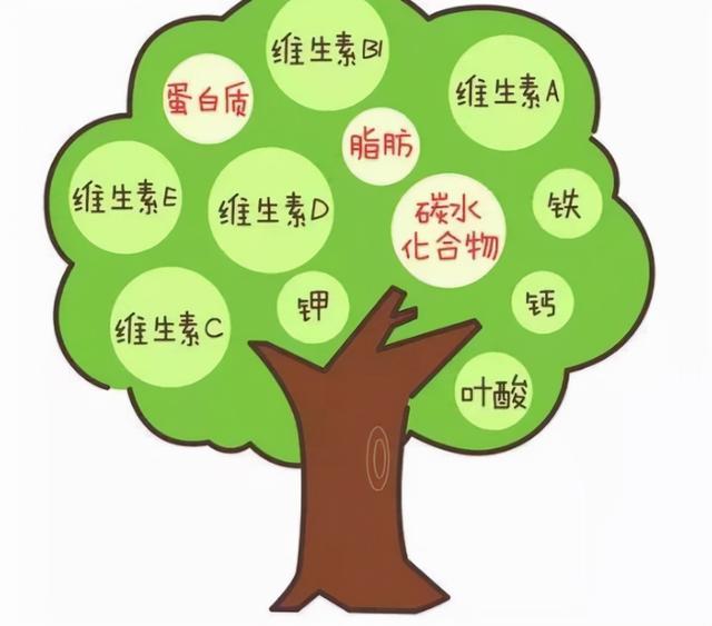 奶奶的心头好“肉汤”只给“心头肉”乖孙，为什么娃却越来越瘦？