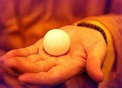 南怀瑾舍利子南怀瑾舍利子骗局