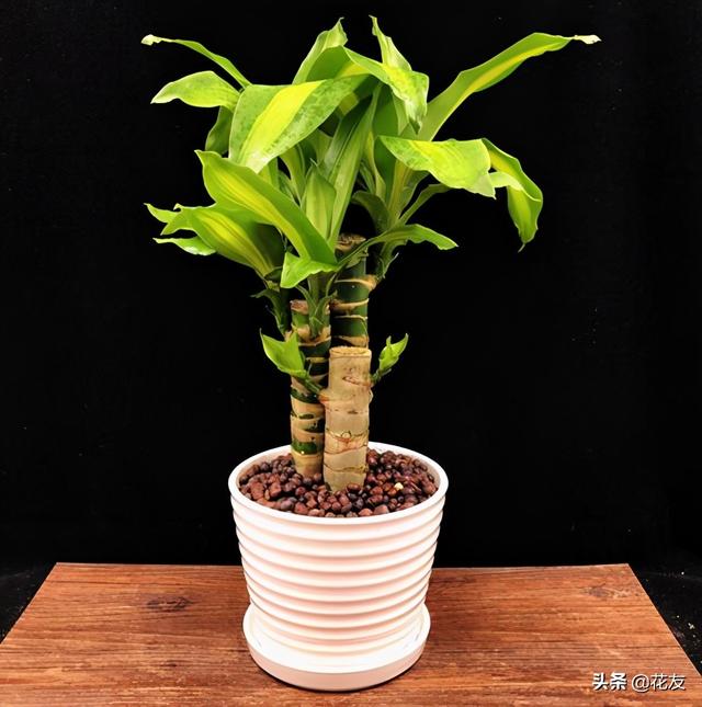 也门铁 也门铁(也门铁图片大全) 大数据