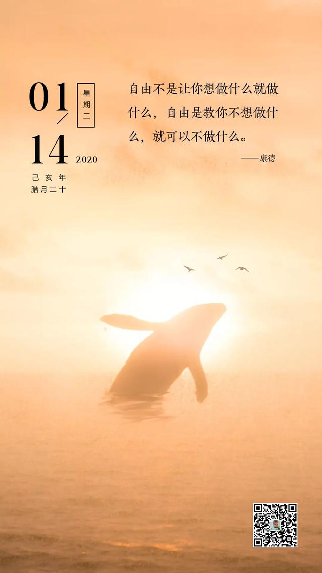 1月14日早安日签图片：将苦楚留在昨日，无畏无惧乘风破浪