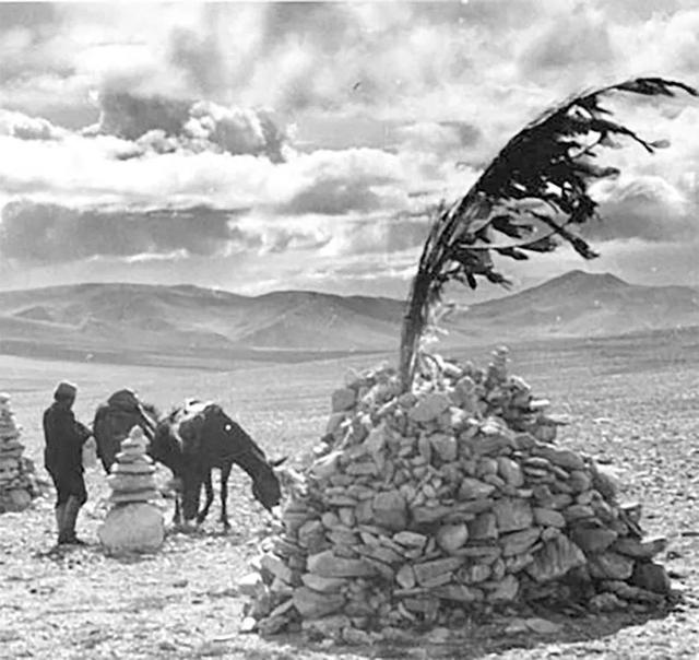 日本，上下为难 | 地球知识局