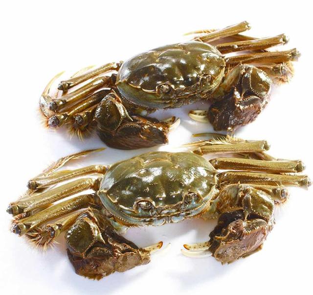 辽宁除了沈阳大连，最有发展潜力的是这三座城，有你的家乡吗？