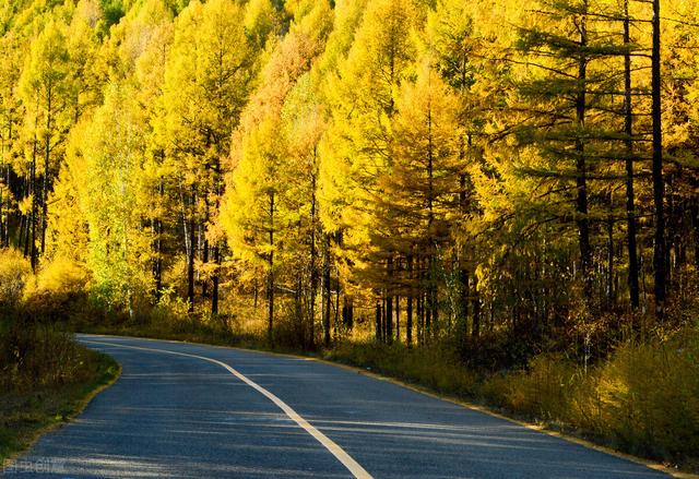 十月带娃出去玩，记得多带几件衣服，指不定在哪被冻成马