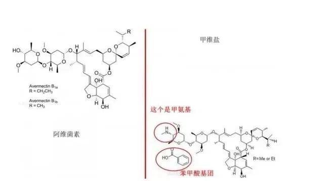 种植户要记住了，阿维菌素和甲维盐区别不小，乱用可等于白打药2