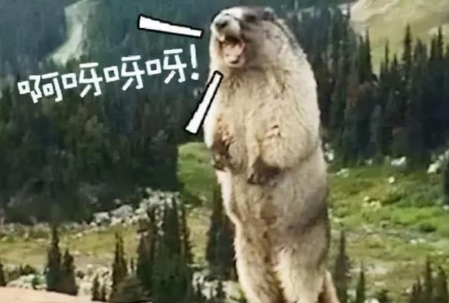 我掏心窝子讲的人生道理，怎么就成了孩子眼里的“废话”？