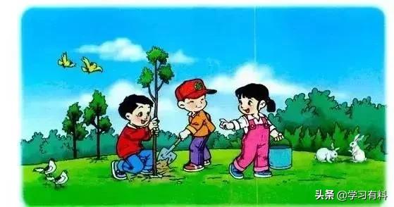 一年级看图写话必练50篇范文（一年级语文看图写话训练方法18篇）(5)
