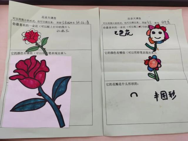 寻花之旅——友联幼儿园小班幼儿《花儿朵朵开》班本课题