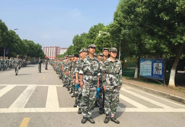 南京交院首页,见南京交院这里是运输管理学院