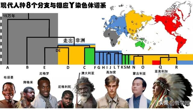 拉萨卧式过滤机