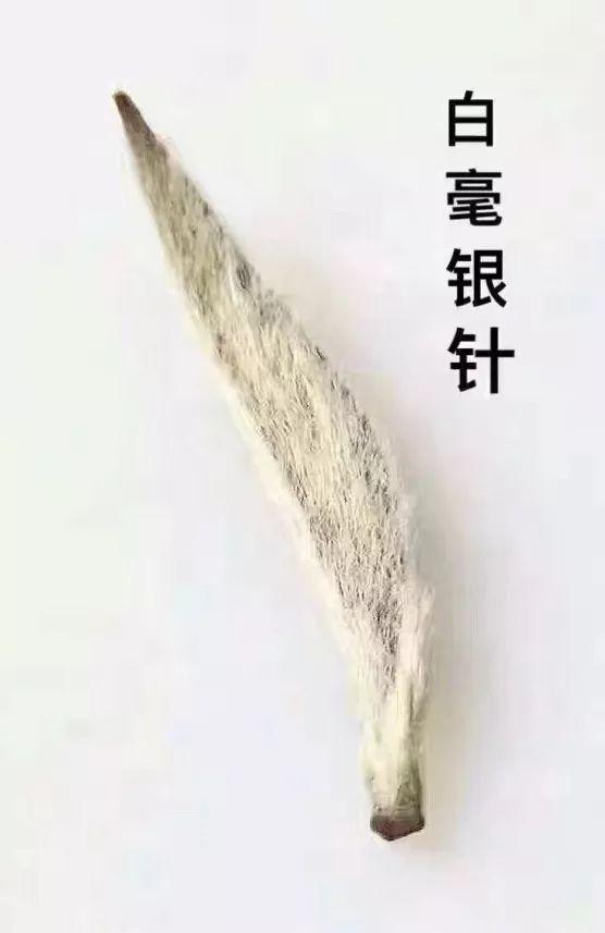 银装素裹的银是什么意思