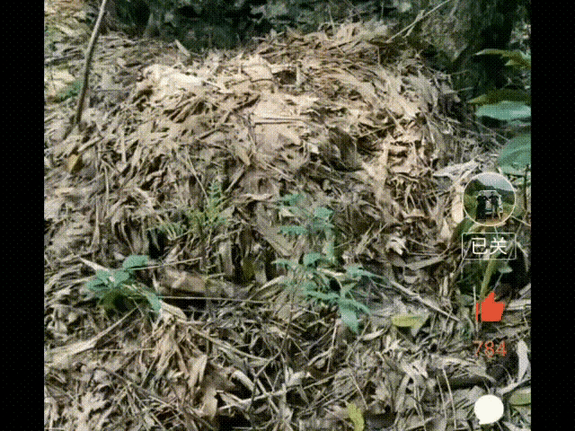 过山峰