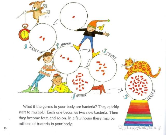 英文原版美国自然科学启蒙绘本