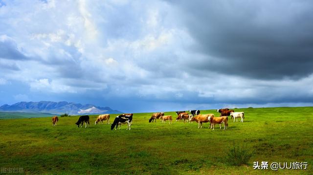 内蒙古草原的自然风光和民族风景（内蒙古美景最集中的地方）(4)