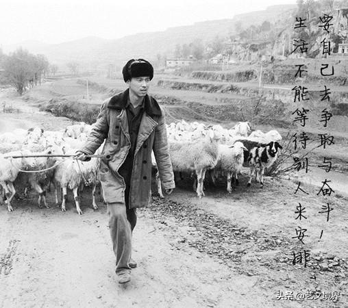 《平凡的世界》这些走心的话，送给你、我、他