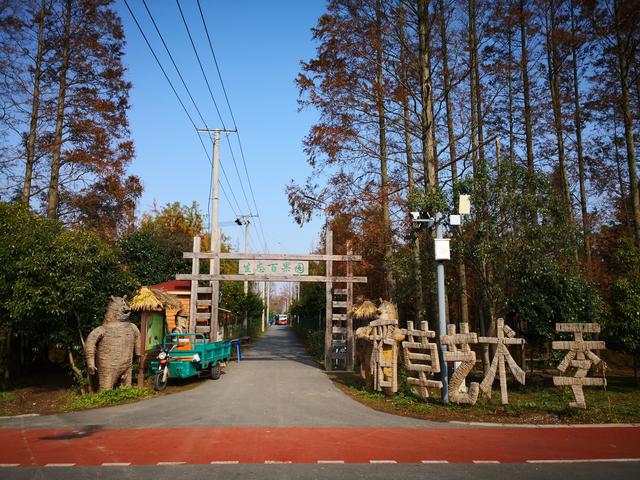 长兴岛郊野公园团建