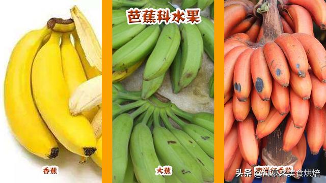 水果有哪些 水果有哪些（水果有哪些形状） 生活