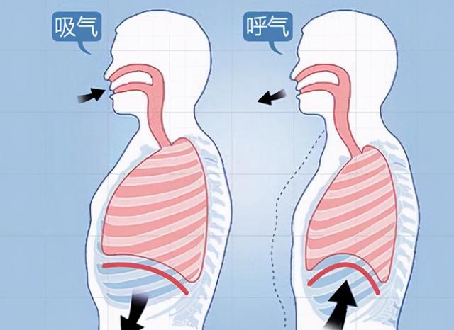 唱歌舌头凹槽训练图片