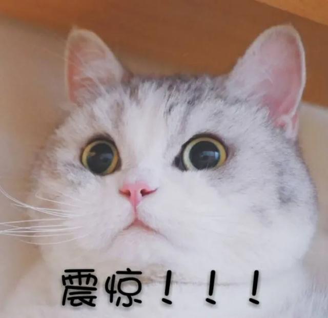 一岁宝宝冬天身体乳和面霜