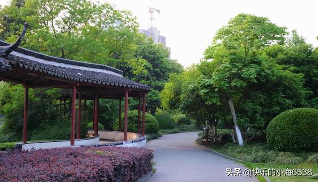 洛阳这一 钉子户 公园 与5a级古城 相接 带动旅游业发展 全网搜