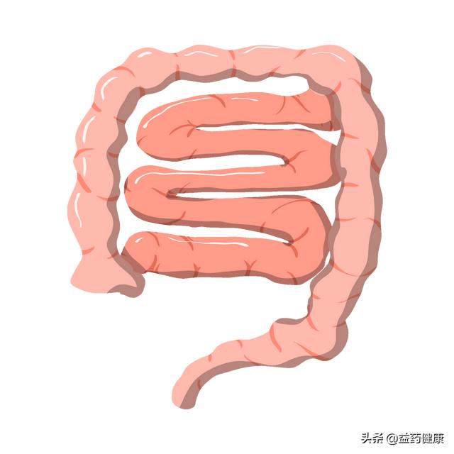 结肠炎早期有4大症状，出现要警惕