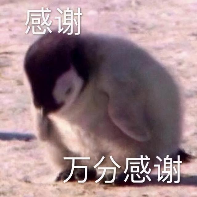 艾诗身体乳是皂基还是氨基酸