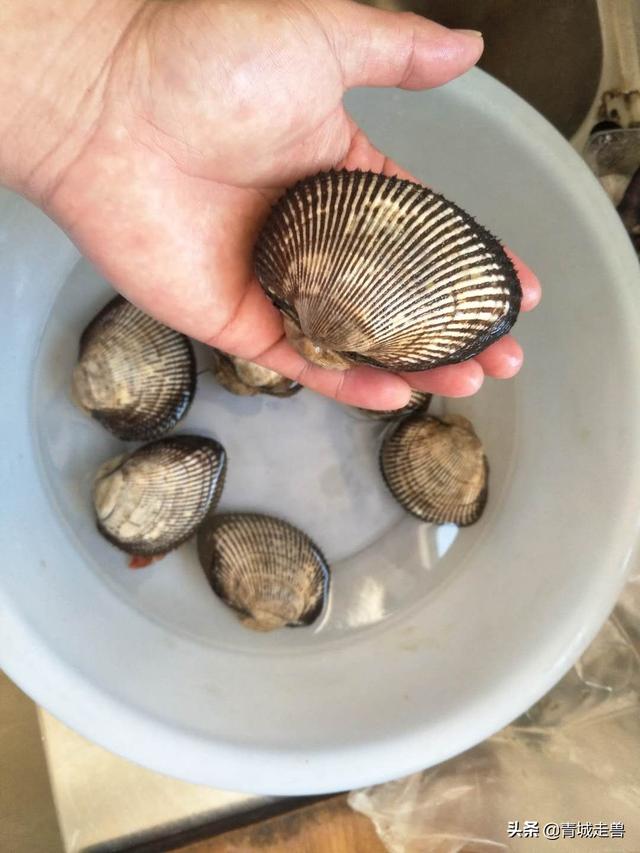 活雪蛤煮熟