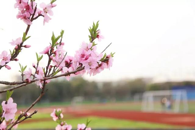 南京航天航空大学金城学院