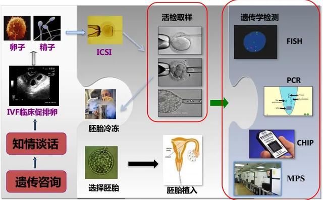 第三代试管婴儿优势多成功率高，但费用也高，并不是人人都适合做