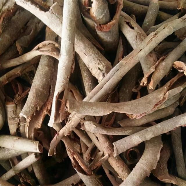 腰肌劳损的康复之路：中药的调理之法