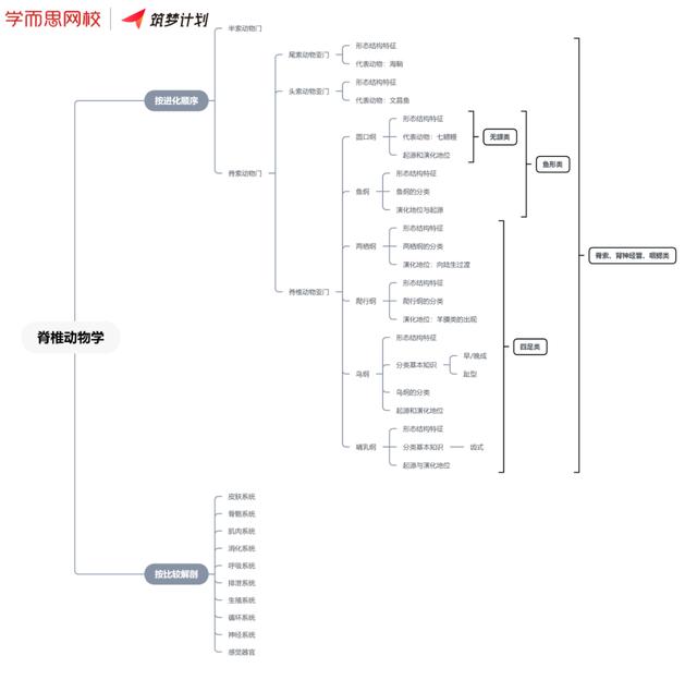 光明老师专栏 四 动物学复习建议 动物学杂志