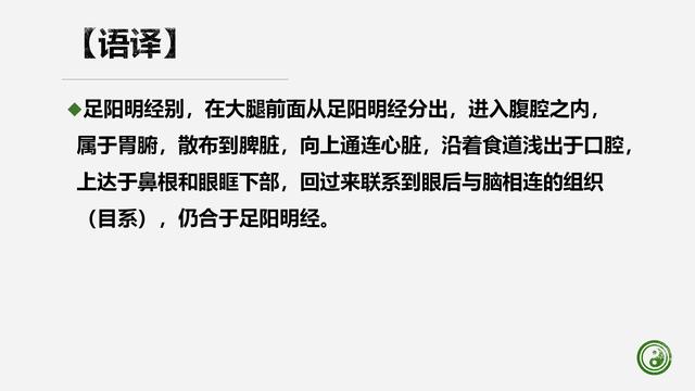 足阳明胃经与腧穴