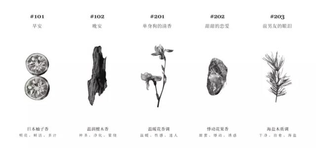 土耳其身体乳成分