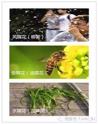 徐州全自动陶瓷过滤机厂家