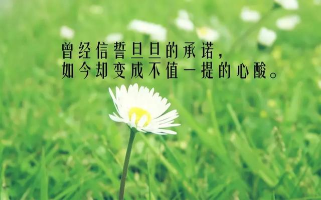 生命的精彩在于：把握现在，微笑向暖，早安
