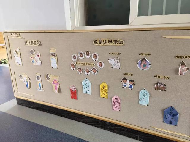 身体的秘密，我知道