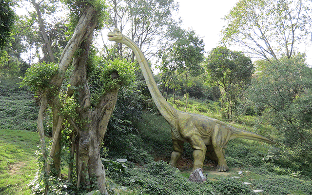深圳机械展可以带小孩
