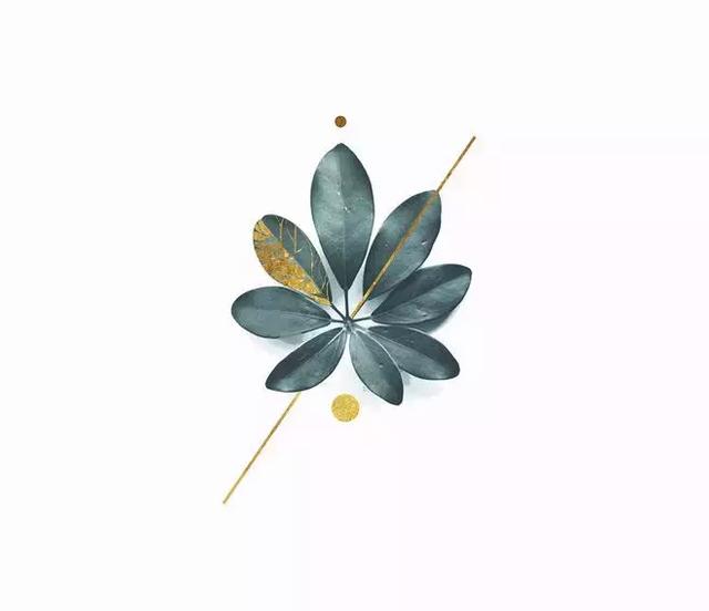 晚安的语句181116：若可，我许你浮生若梦，几度欢颜