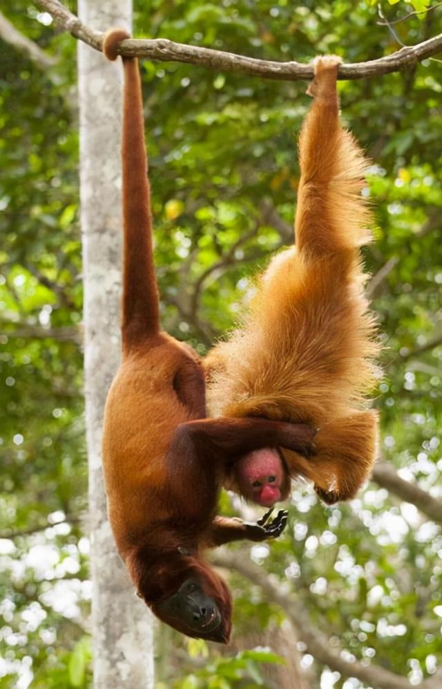 最好的教育是允许孩子做自己