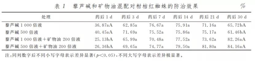 柑桔红蜘蛛防治新方法！藜芦碱混合矿物油，高效环保更安全