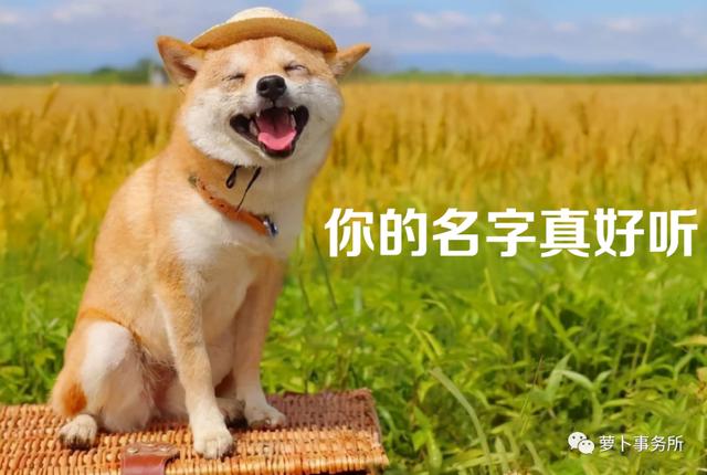 苦中作乐，上市公司被取外号！三只松鼠跌成一只，双汇跌到单汇