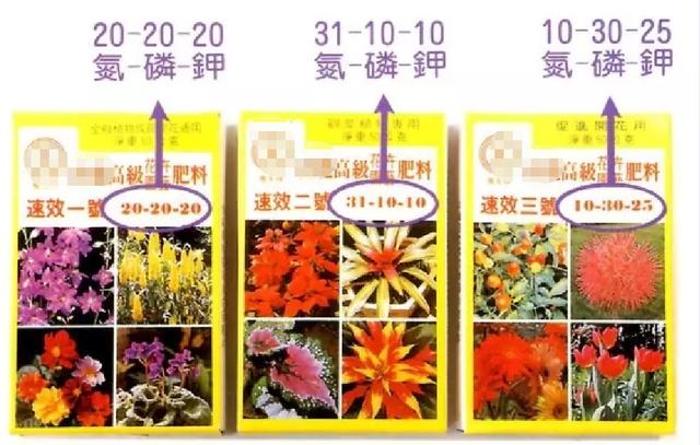 缓释肥 缓释肥（缓释肥有哪些） 生活