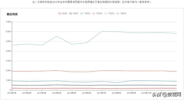 四季垂丝海棠（垂丝海棠的特点）