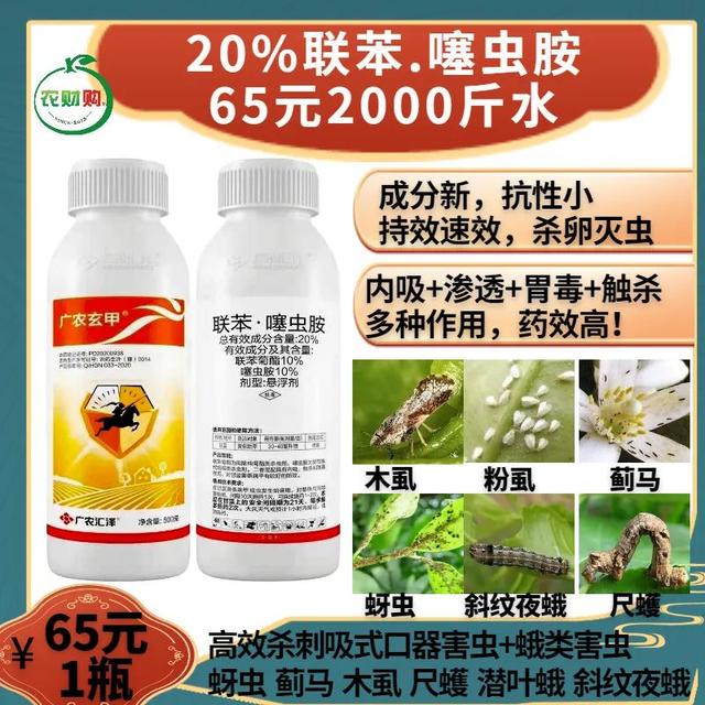 控制木虱→虫卵通杀！不同药有不同表现，防治木虱主要分3方面3