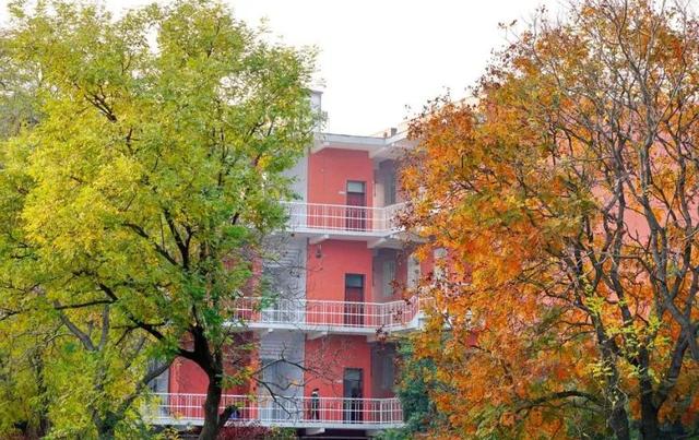 郑州大学医学院领导班子成员