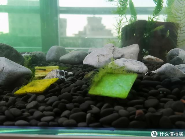 大蜗牛制砂机